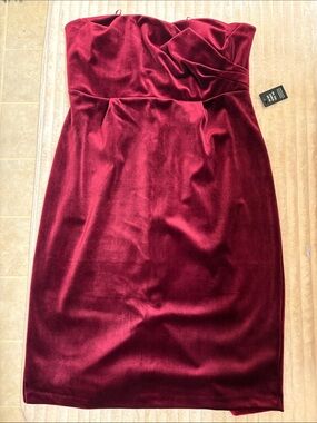 Express Strapless Velvet Sheath Dress - Burgundy NWT